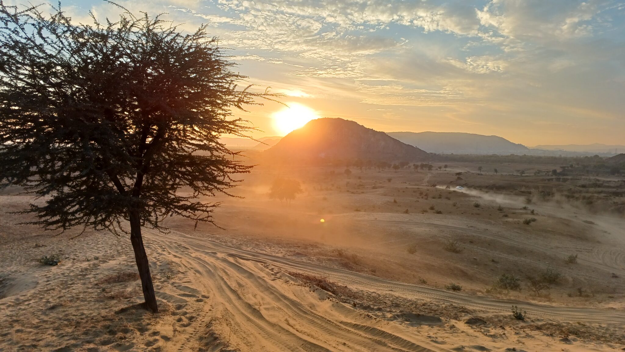 Dune bashing